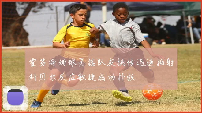 霍芬海姆球员接队友挑传迅速抽射科贝尔反应敏捷成功扑救